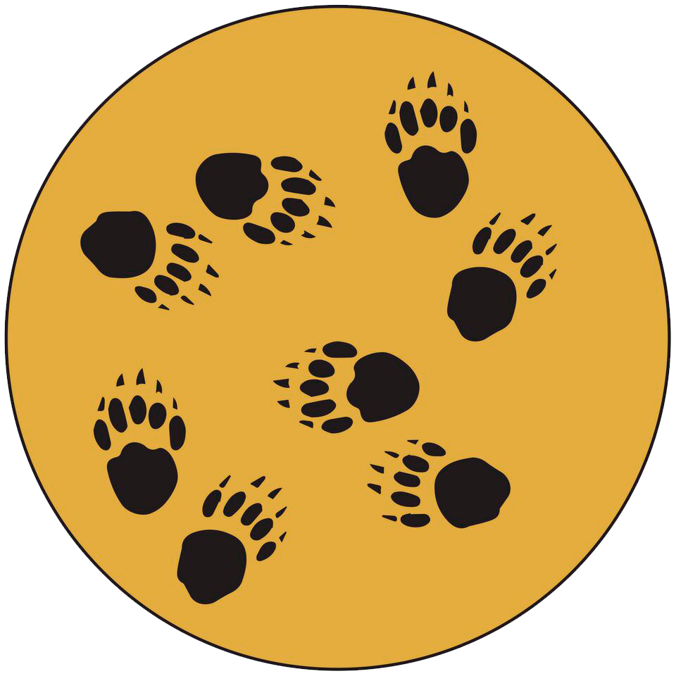 I Hear Footsteps… #6 of The Deadly Wastes – “Movement”
